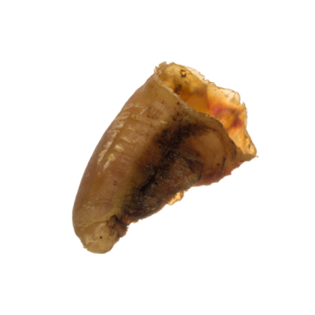 Anco Empty Cow Hooves