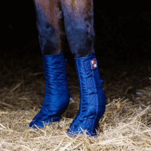 Equilibrium Equi-Chaps Stable Chaps Navy