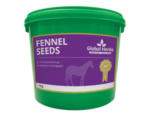 Global Herbs Fennel Seeds 1kg