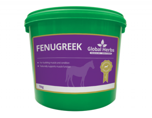 Global Herbs FenuGreek 1kg