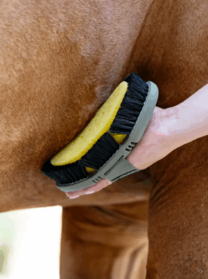 LeMieux Flexi Sponge Brush