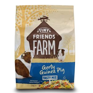 Gerty Guinea Pig