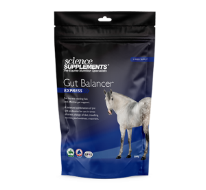Science Supplements Gut Express 588g