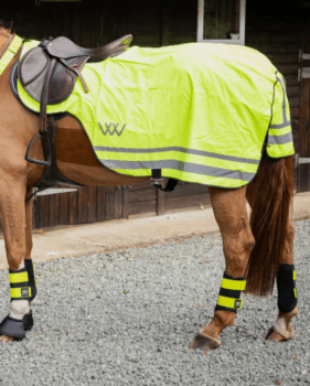WoofWear Hi Vis Winter Exercise Sheet