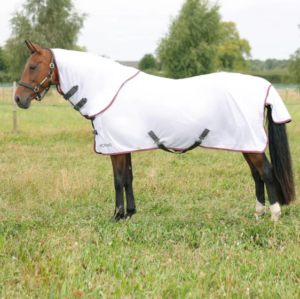 HyCONIC Fly Rug With Detachable Neck