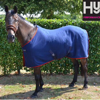Hy Signature Fleece Rug