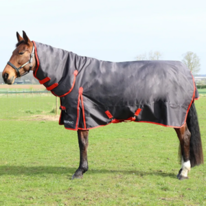 HyCONIC 200g Combo Turnut Rug