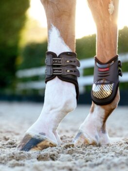 LeMieux Exo Flex Fetlock Boot