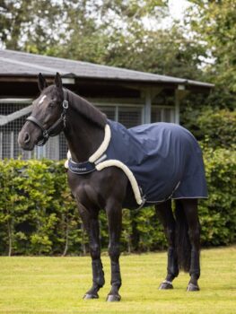 LeMieux Walker Rug