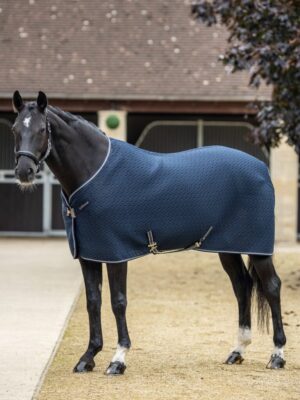 LeMieux Kudos 3D Mesh Travel Rug