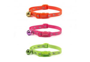 Hi-Vis Safety Kitten Collar