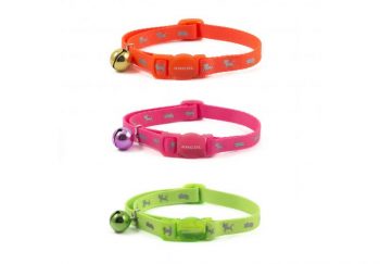 Hi-Vis Safety Kitten Collar