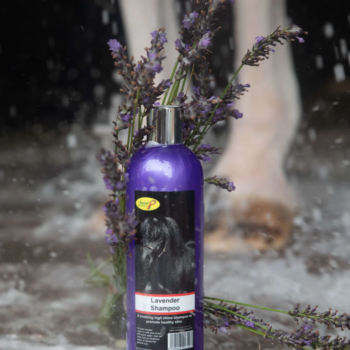 Smart Grooming Lavender Shampoo 500ml