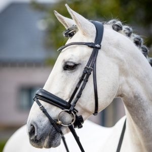 Bridles