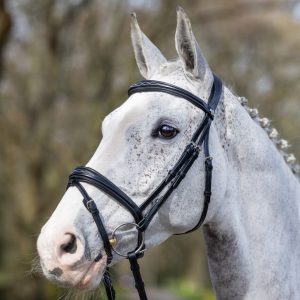 LeMieux Competition Flash Bridle