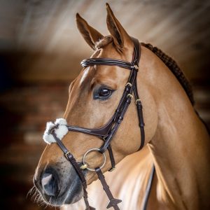 LeMieux Grackle Bridle