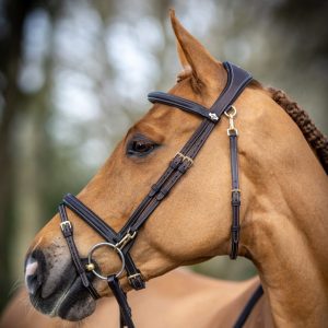 LeMieux Work Bridle