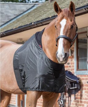 LeMieux Anti Rub Bib