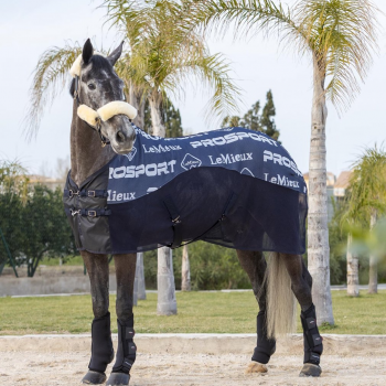 LeMieux Carbon Cooler Rug