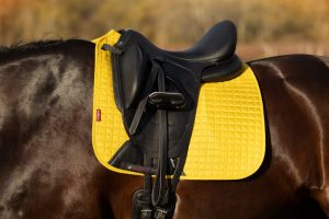 Dressage Squares
