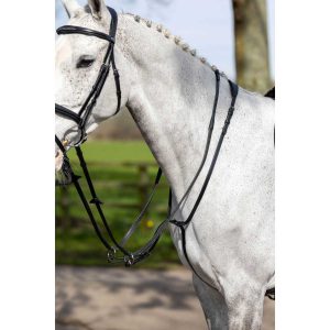 LeMieux Running Martingale