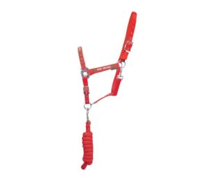 Hy Merry Christmas Head Collar & Lead Rope
