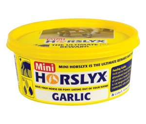 Horslyx Garlic Balancer