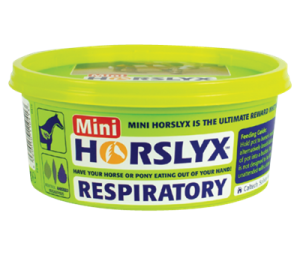 Horslyx Respiratory Balancer