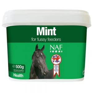 NAF Mint 500g