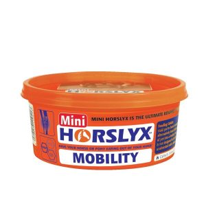 Horslyx Mobility Balancer