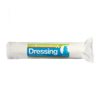 NAF NaturalintX Dressing 500g