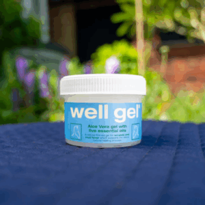 Well Gel Original 125g