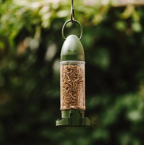 Peckish Mealworm Ready To Use Feeder 90g