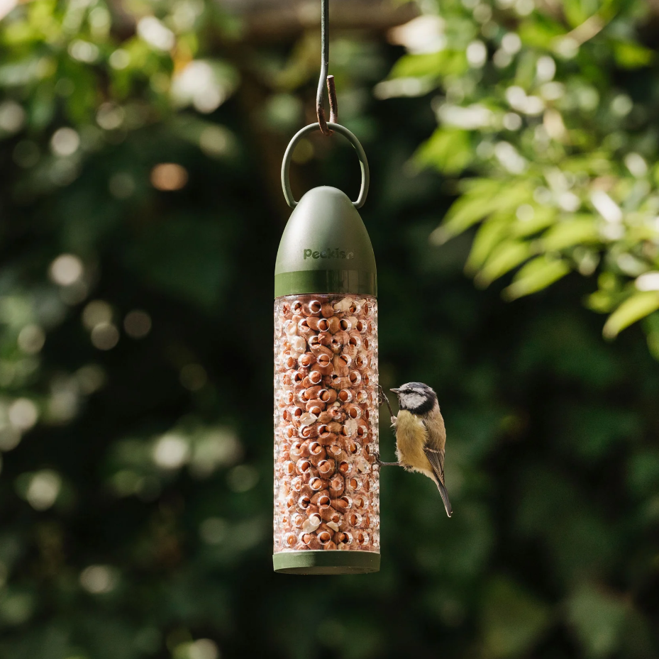 Peckish Peanut Ready To Use Feeder 300g