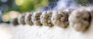Plaiting