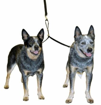 COA Double Dog Coupler