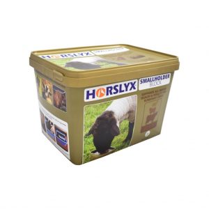 Horslyx Small Holder Block 5kg