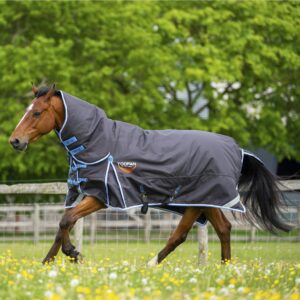 Gallop Toofan 350g Combo Turnout