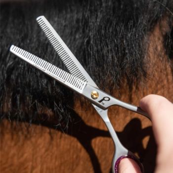 Smart Grooming 6″/15cm Double Leg Thinning Scissor