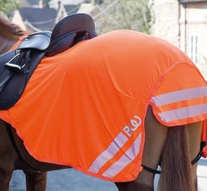Bridleway Visibility Exercise Sheet