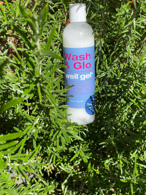 Well Gel Wash & Glo 300g
