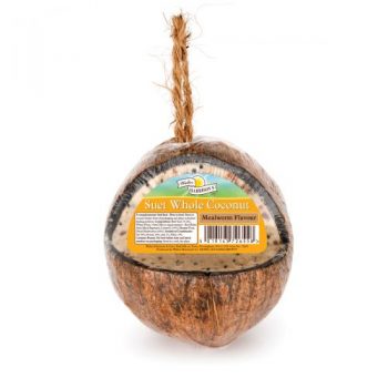 Harrison’s Whole Coconut High Energy Suet Feeder